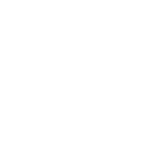 global icon