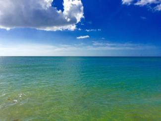 sea sea in sight