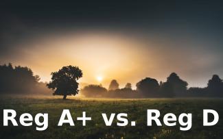 Reg A + vs Reg D 506b at Reg D 506c likas na likuran